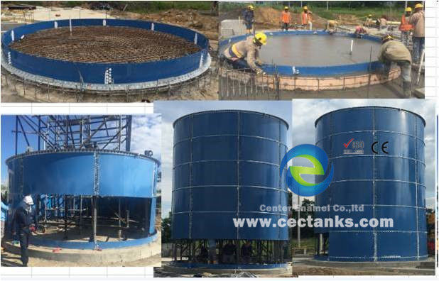 1 -4MW Biogas Power Plant EPC Turnkey BOT BTO Project Service with Glass Fused To Steel Storage Tanks 0